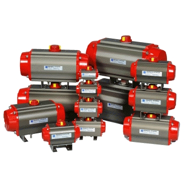 Pneumatic Actuator