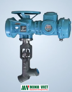 Y pattern Globe valve VELAN