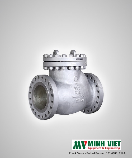 Cast steel Check valve