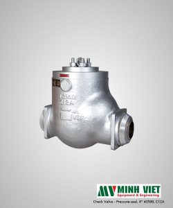 Pressure seal Check valve