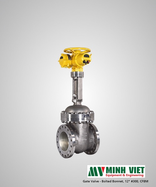 Cast steel gate valve