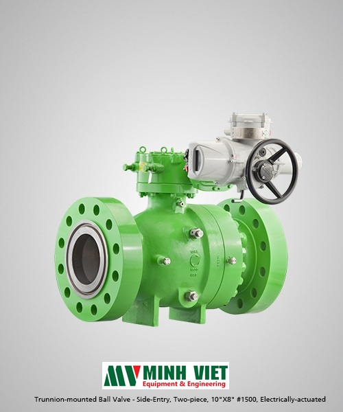 Trunnion mounted ball valve