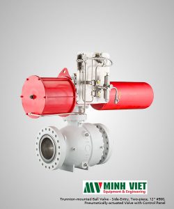 Trunnion Mounted Ball Valve
