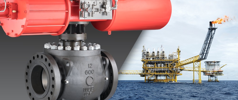 Trunnion mounted Ball valve