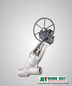 Y Pattern Globe Valve VELAN