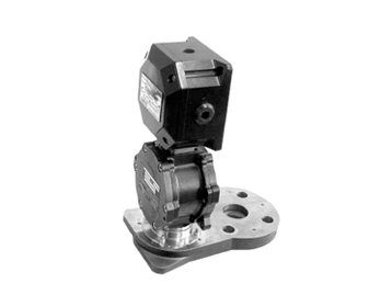 Flow Switches