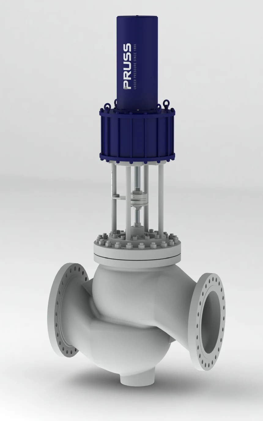 Van điều khiển globe Pruss precision